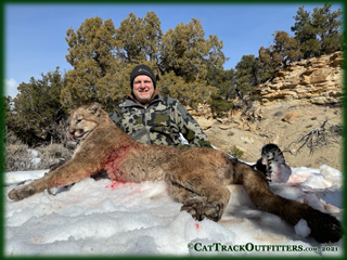 mountain lion hunt in Colorado