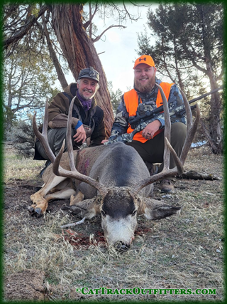guided mule deer hunting in colorado