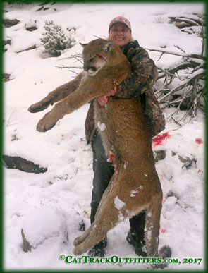 record book toms- Colorado mountain lion hunting
