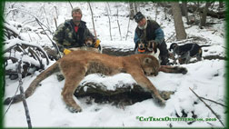 Colorado Mountain lion hunting