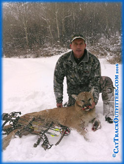 mountain lion hunting in Colorado - archery