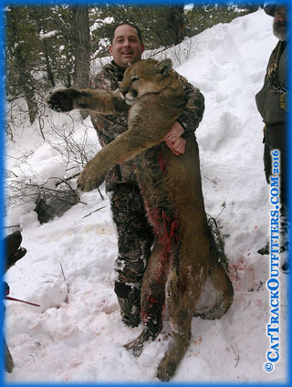 Pope & Young mountain lion - Rob Upchurch hunting with Cat Track Outfitters