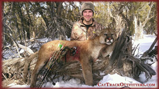 mountain lion hunting in Colorado