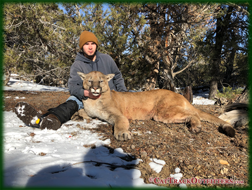 mountain lion hunts in Western Colorado with Cat Track Outfitters