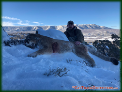 mountain lion hunts in Western Colorado with Cat Track Outfitters