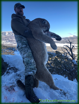 big game hunting - lion hunting in Western Colorado