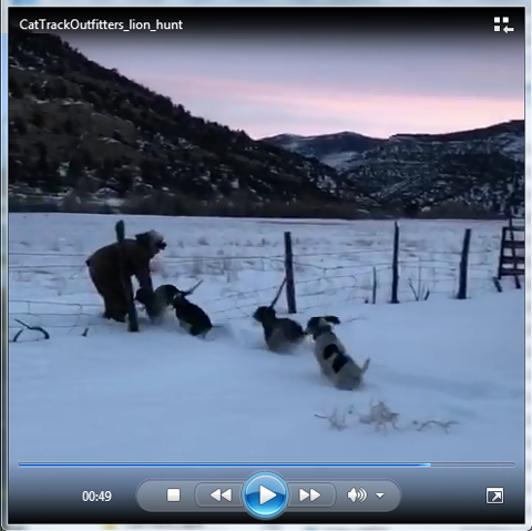Click to view mountain lion hunting video 